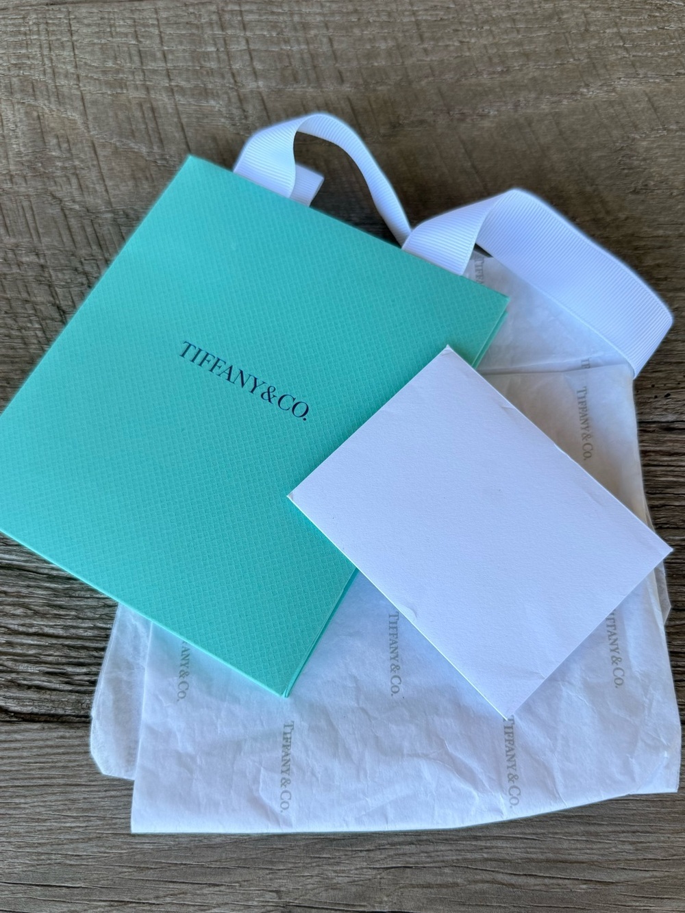 Tiffany & Co. Robin's Egg Blue Gift Bag with White Card & Tissue Paper